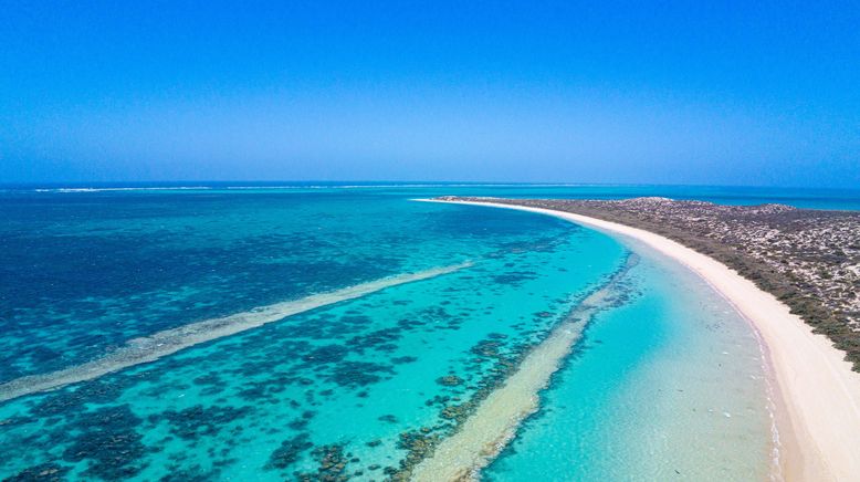 Ningaloo: Australiens Ozeanwunder