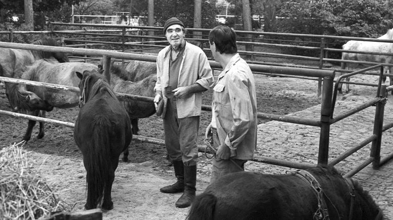 Tierparkgeschichten