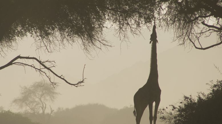 Namibia - Flüsse aus Sand