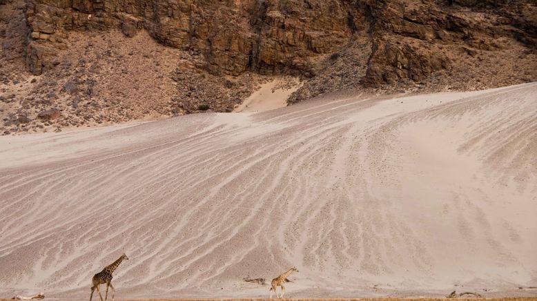 Namibia - Flüsse aus Sand