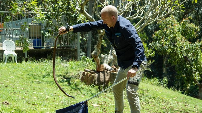 Snake Security - Schlangenalarm in Australien