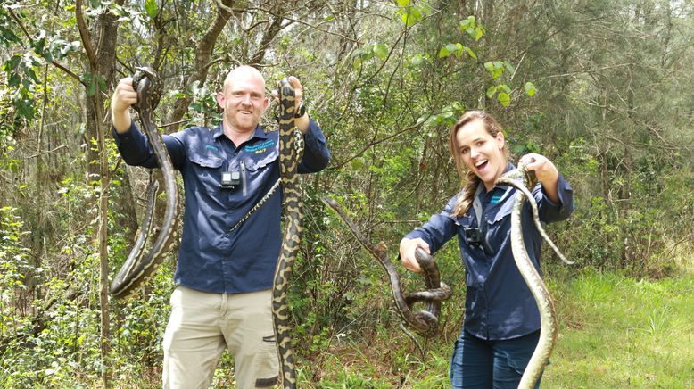 Snake Security - Schlangenalarm in Australien