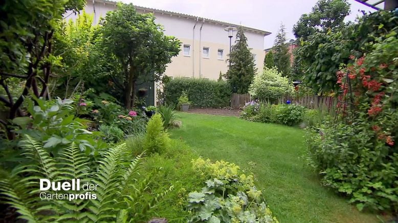 Duell der Gartenprofis