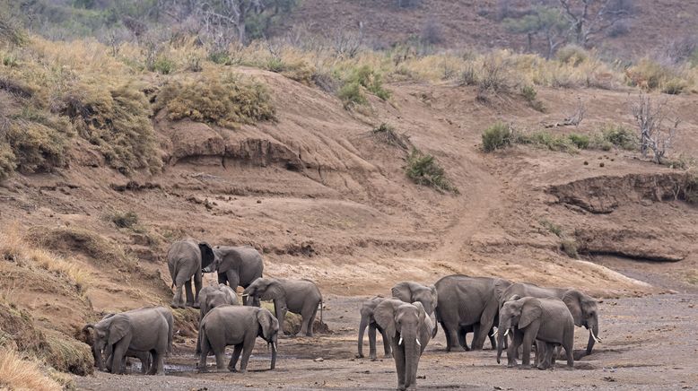 Afrikas Wilde Seiten