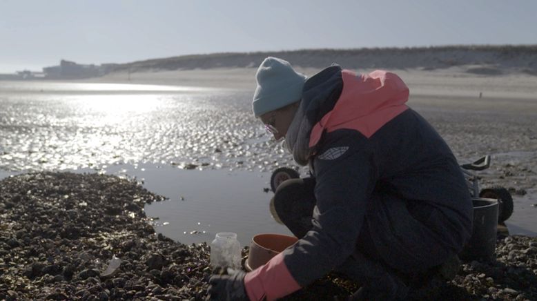 Sylt - Wellen, Wind und Watt