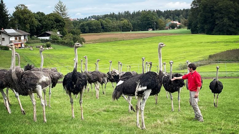 Helden der Landwirtschaft