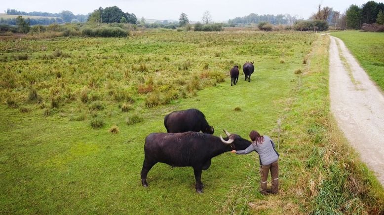 Helden der Landwirtschaft