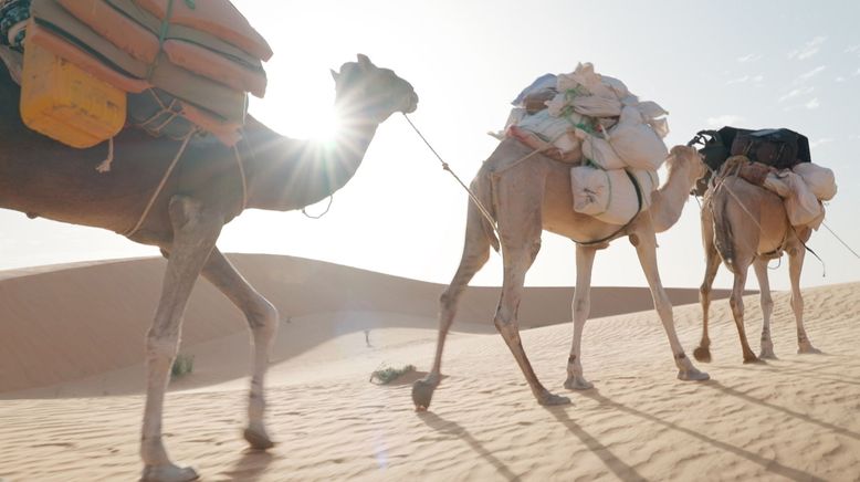 Abenteuer Mauretanien - Zu Fuss durch die Sahara