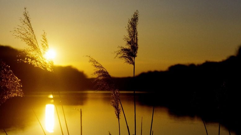 Wildnis am Strom - Nationalpark Donau-Auen