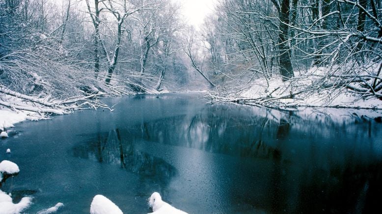 Wildnis am Strom - Nationalpark Donau-Auen