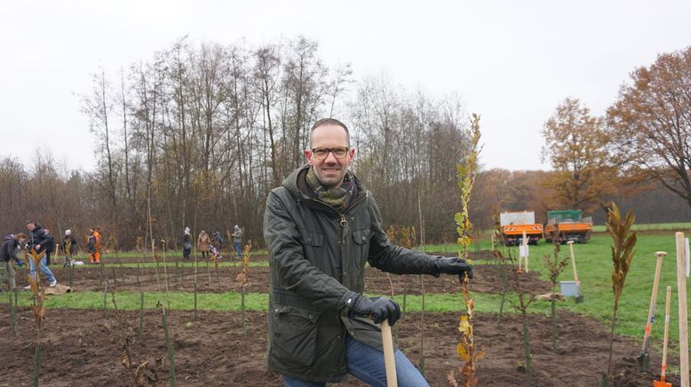 planet e.: Stadtbäume im Stress