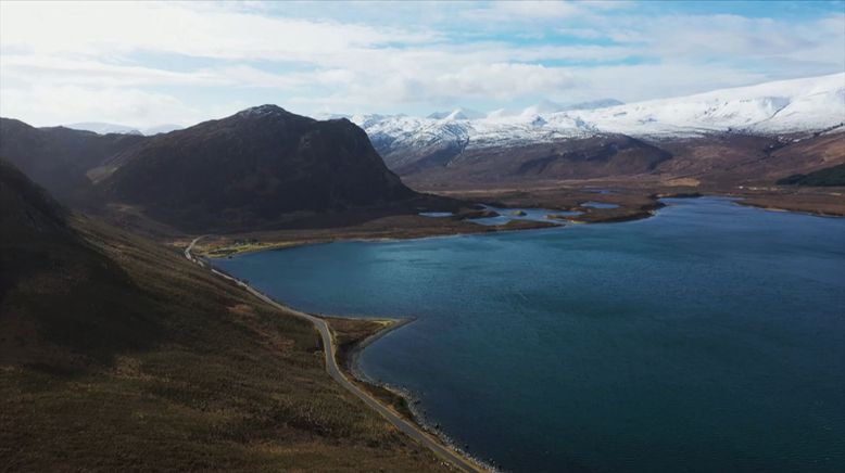 Mit vollem Einsatz - Die Tierärzte in den Highlands