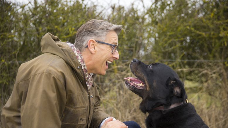 Hunde außer Kontrolle