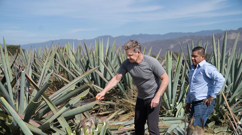 Gordon Ramsay: Kulinarische Abenteuer