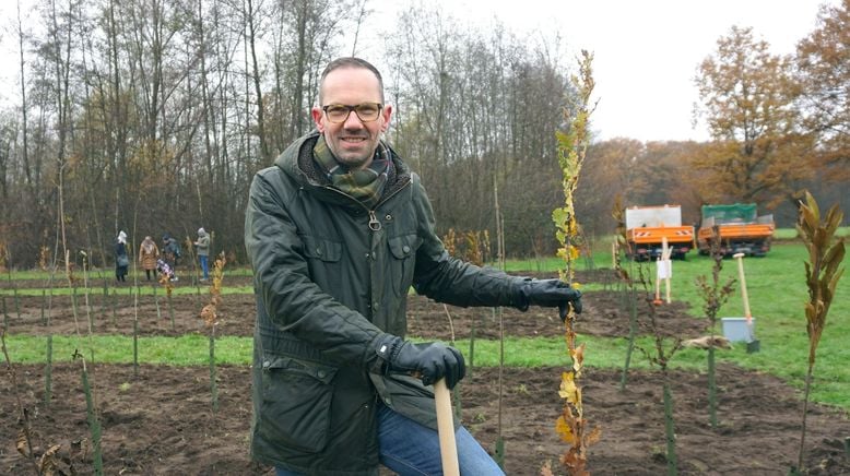 planet e.: Stadtbäume im Stress