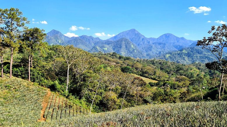 Honduras