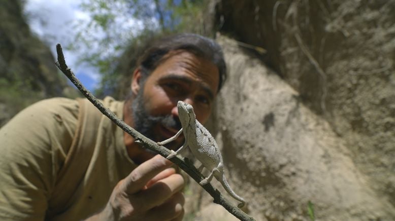 Extreme Survival mit Hazen Audel: Safari durch das Rift Valley