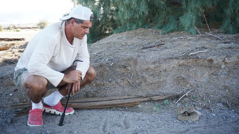 Wild Frank - Abenteuer in Kalifornien