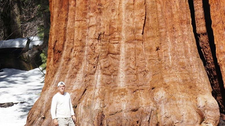 Wild Frank - Abenteuer in Kalifornien