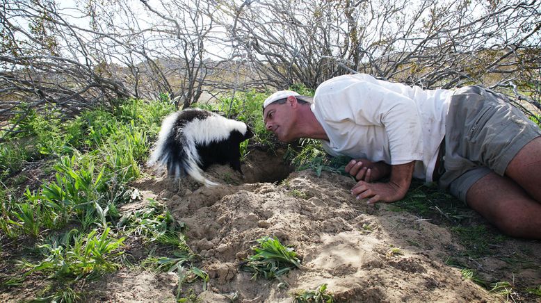 Wild Frank - Abenteuer in Kalifornien