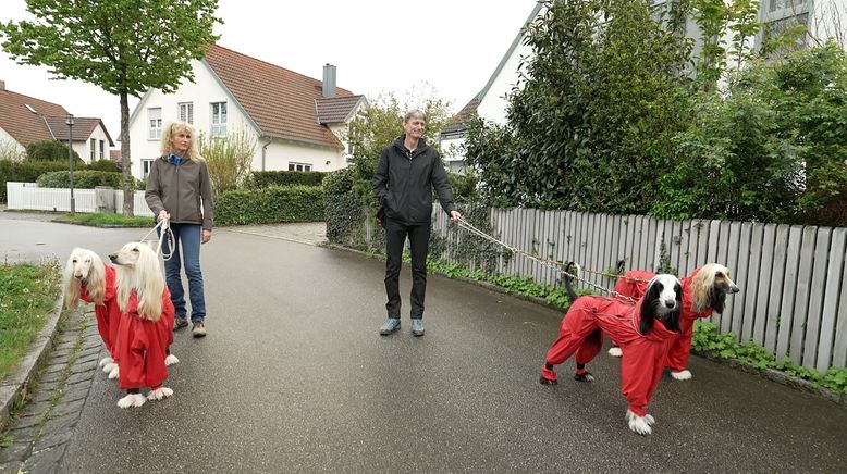 Die großen Hunde - Mit Martin Rütter