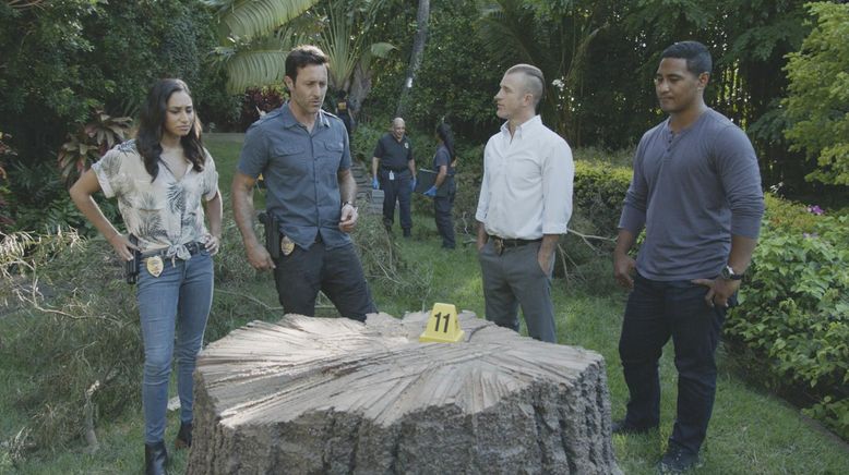 Hawaii Five-0