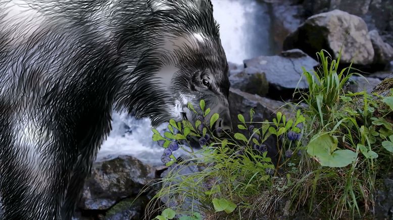 Die Odyssee der Tiere