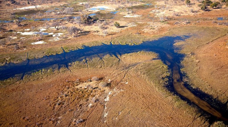 Okawango - Fluss der Träume