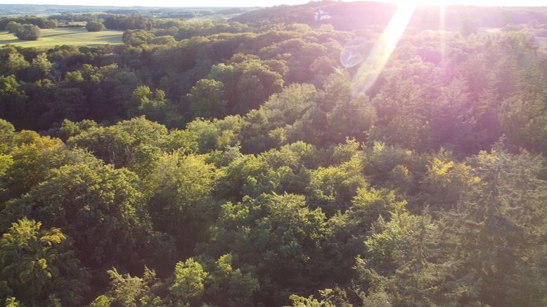 Wilder Wald - Öko zahlt sich aus