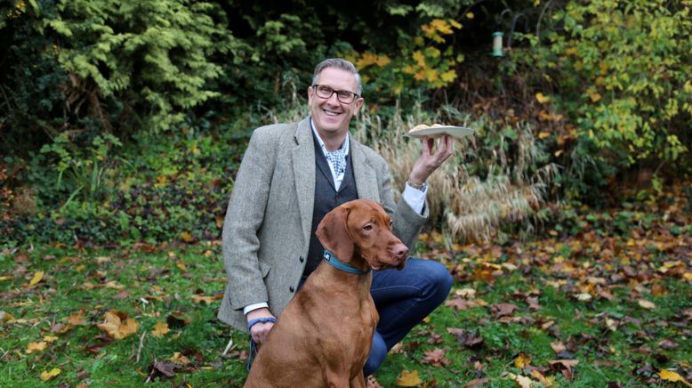 Hunde außer Kontrolle