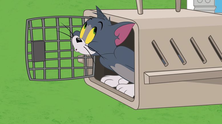 Die Tom und Jerry Show