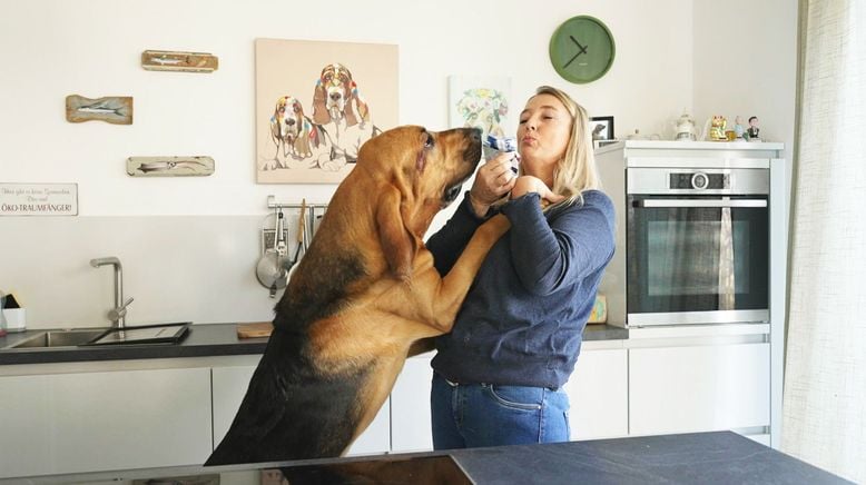 Die großen Hunde - Mit Martin Rütter