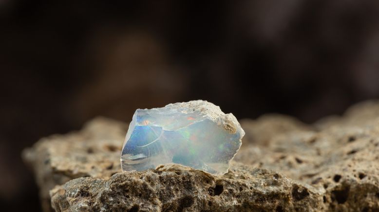 Outback Opal Hunters - Edelsteinjagd in Australien