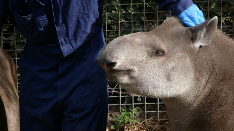 Zoo und so - Tierisch wild!