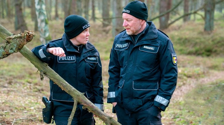 Friedhof der Welpen - Der Usedom-Krimi