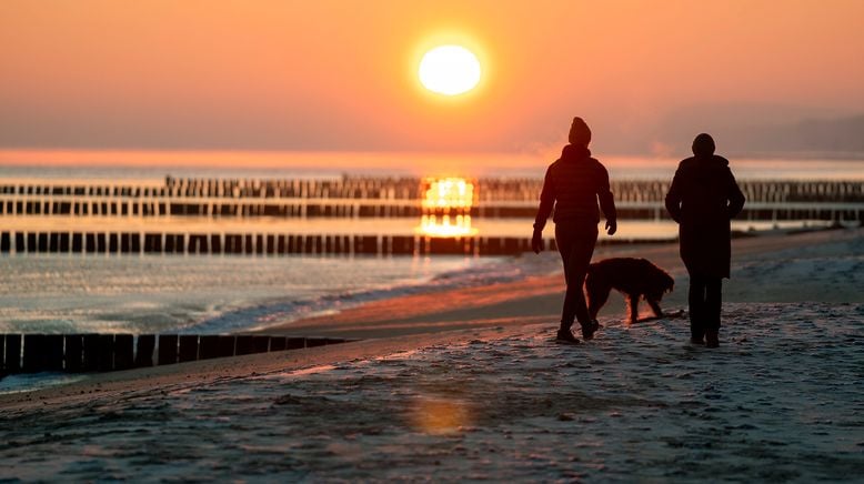 Friedhof der Welpen - Der Usedom-Krimi