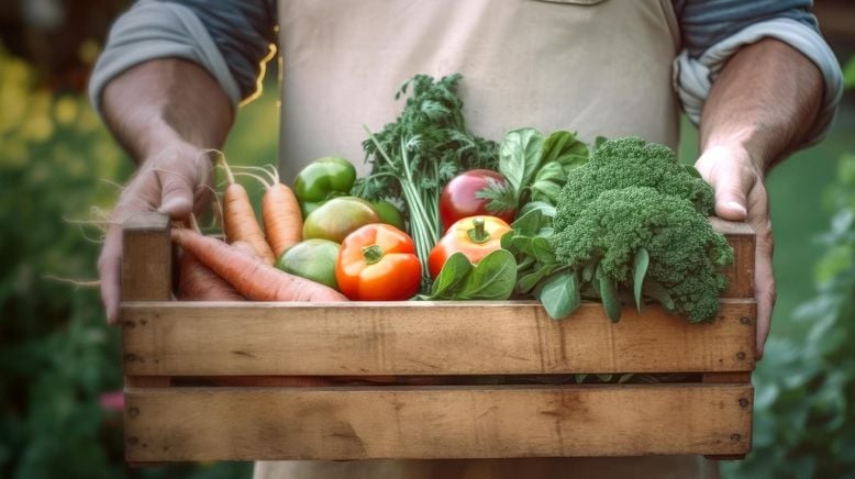 Die Geschichte der Landwirtschaft