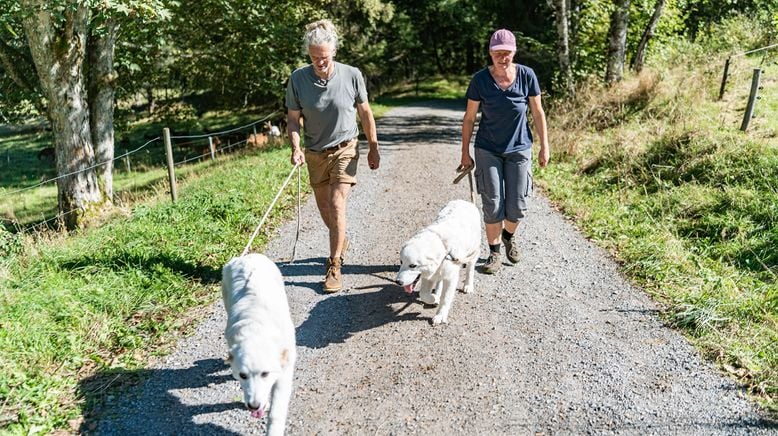 Hofgeschichten - Ackern zwischen Alpen und Ostsee