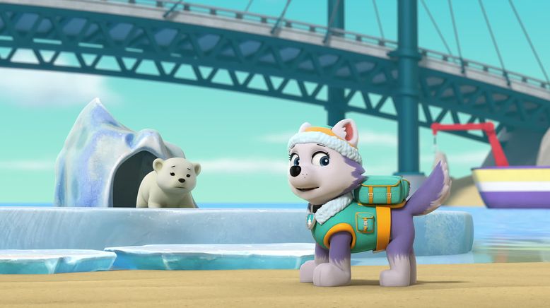 Paw Patrol: Helfer auf vier Pfoten