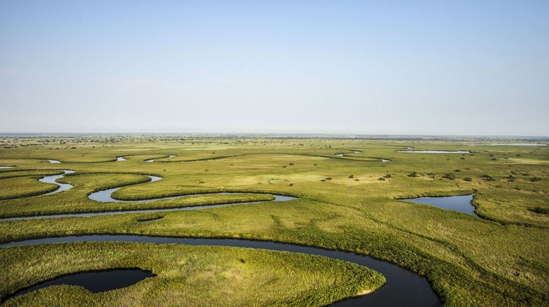 Okawango - Fluss der Träume