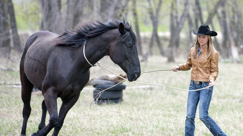 Heartland - Paradies für Pferde