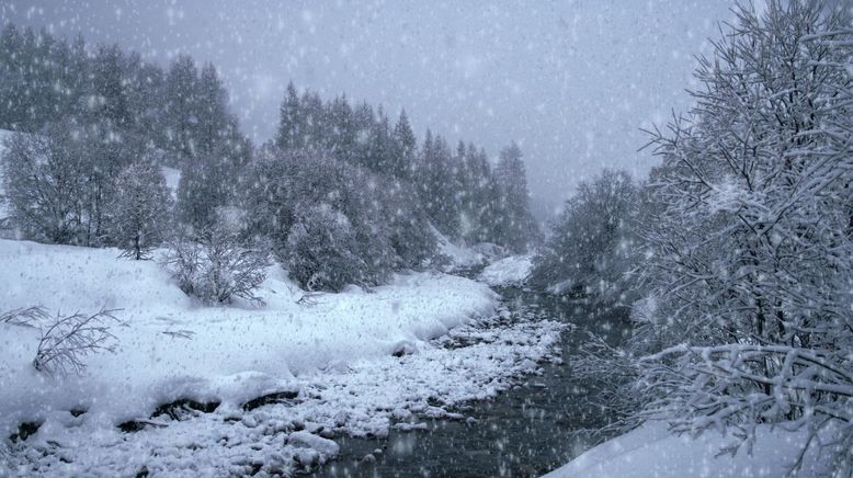 Der ersehnte Schnee