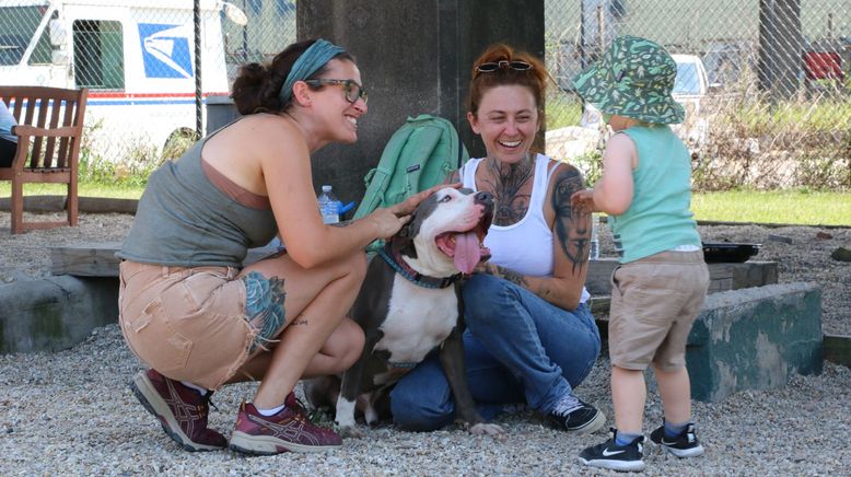 Pitbulls auf Bewährung