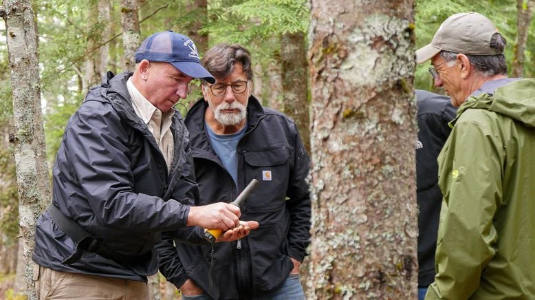 Die Schatzsucher von Oak Island