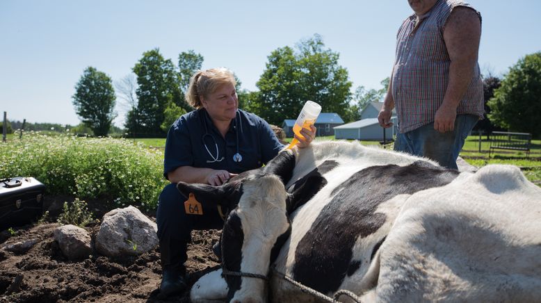 Der unglaubliche Dr. Pol