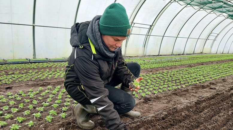 Frost, Schnee und knackiges Gemüse