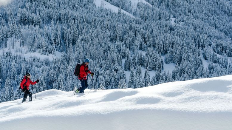 Bergbauernleben