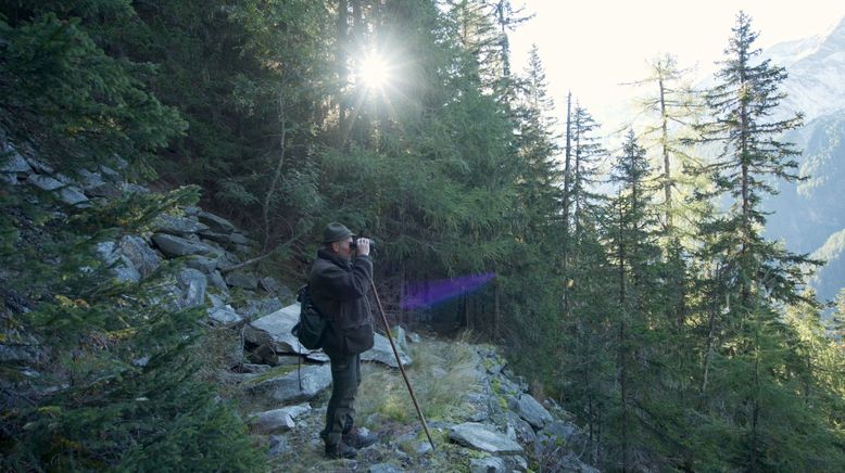 Im Reich der Tauernkönigin - Die zeitlose Wildnis