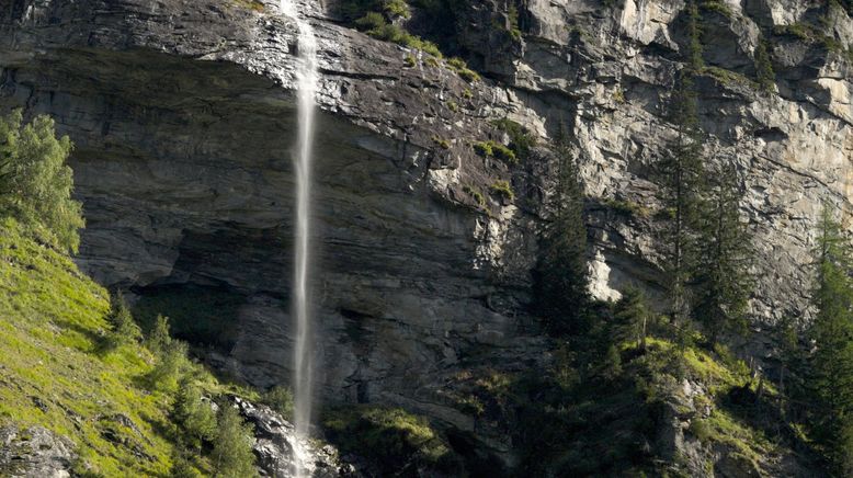 Im Reich der Tauernkönigin - Die zeitlose Wildnis