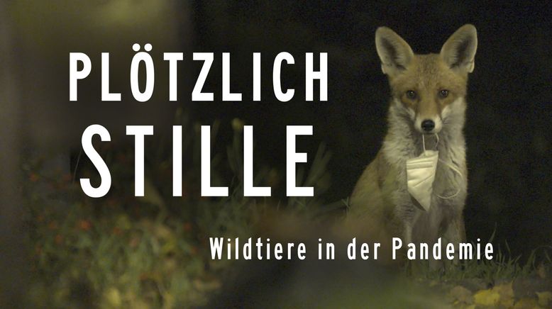 Plötzlich Stille